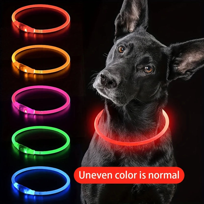 Coleiras Luminosas Ajustável Anti-Perdido/Evitar Carro Acidente Noite Luz Segurança Levou Cães Colar Pet Acesso